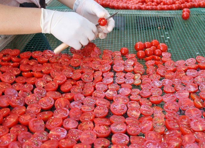 Scopri di più sull'articolo Lavorazione artiginale del Pomodoro Secco