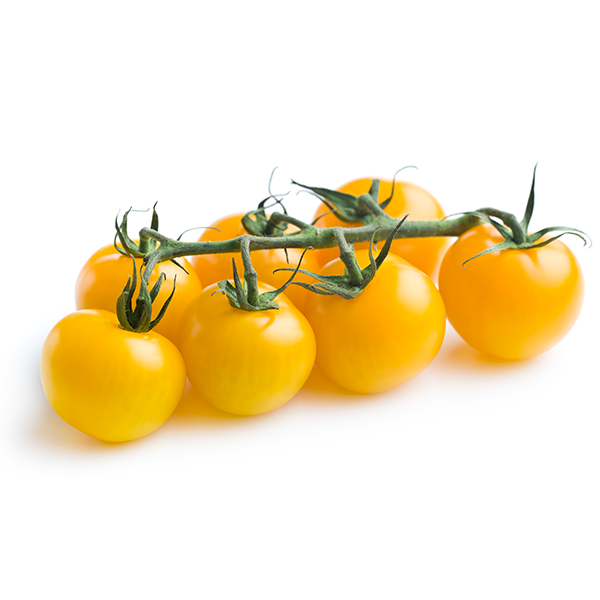 Yellow Datterino Tomato