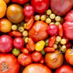 7 curiosità sul pomodoro
