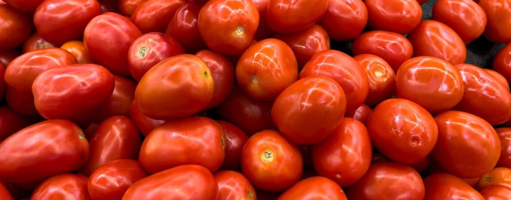 pomodoro antichità